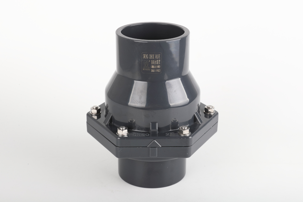 铁山港翻板式止回阀